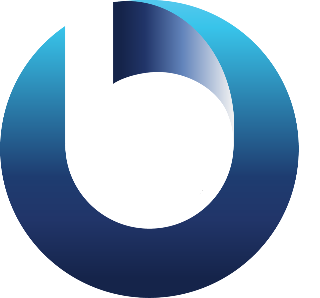 Strategic Partnership Announced Burroughs and Maya Labs